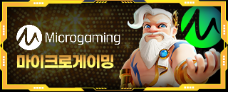 마이크로게이밍 슬롯